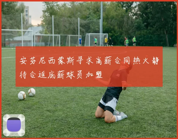 安芬尼西蒙斯寻求高薪合同热火静待合适底薪球员加盟
