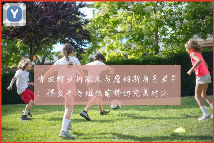 香波特分析欧文与詹姆斯角色差异：得分手与组织前锋的完美对比